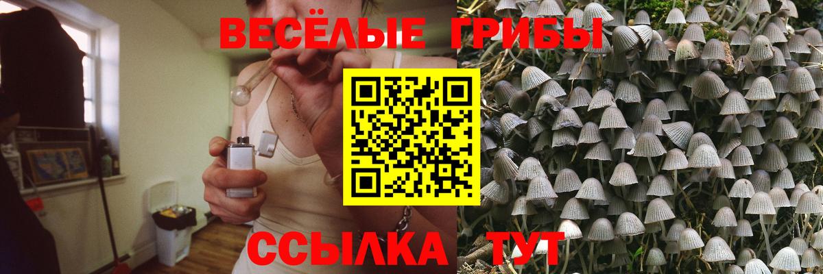 Галлюциногенные грибы Magic Shrooms Вязники